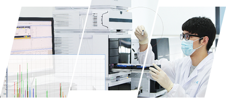 Rapid Product Development